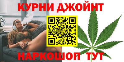 гидра Камышлов
