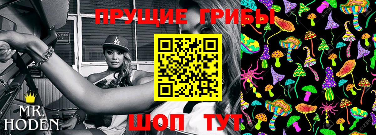 Качканар  Псилоцибиновые грибы мицелий  что такое наркотик  Вход с VPN 