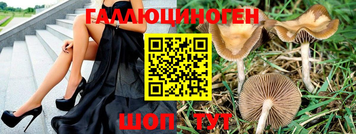 Псилоцибиновые грибы мицелий Качканар